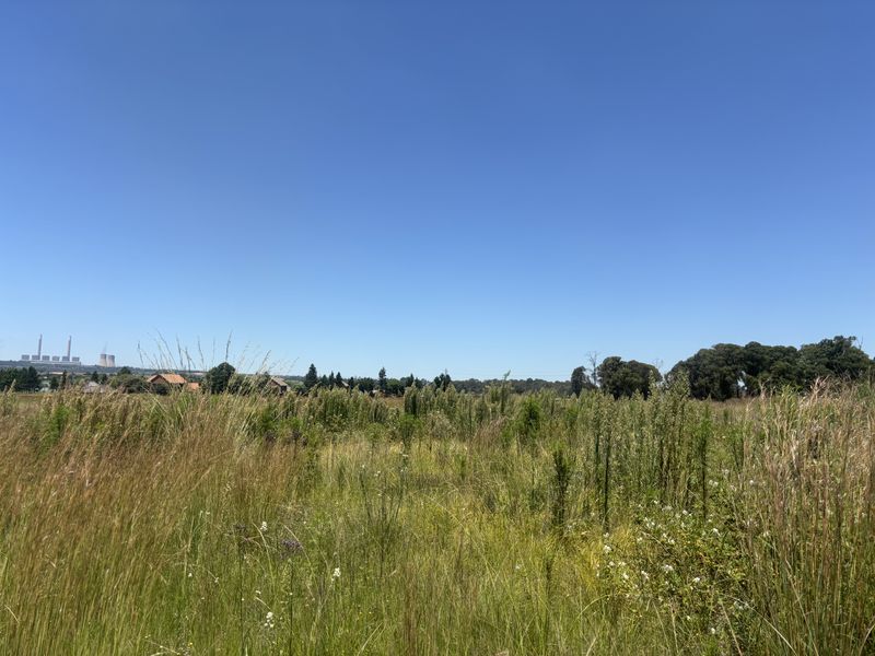 Want Peace and quiet - look at this! - Photo 8