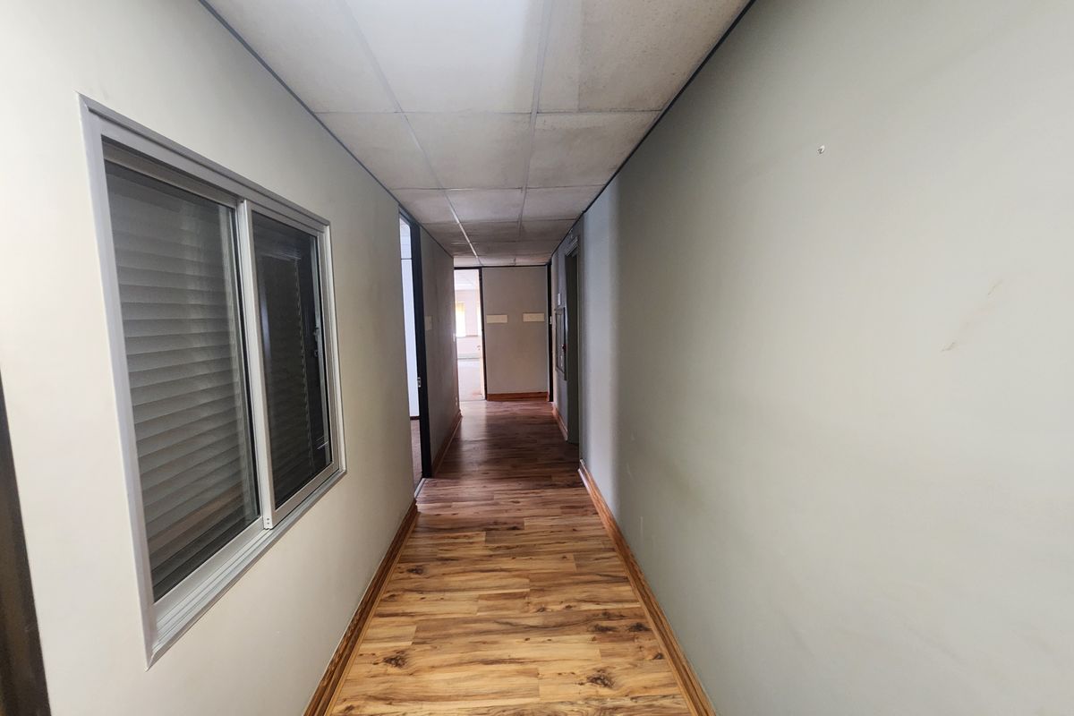 A vacant office hallway featuring wood-look laminate flooring, a suspended ceiling, and neutral wall finishes.