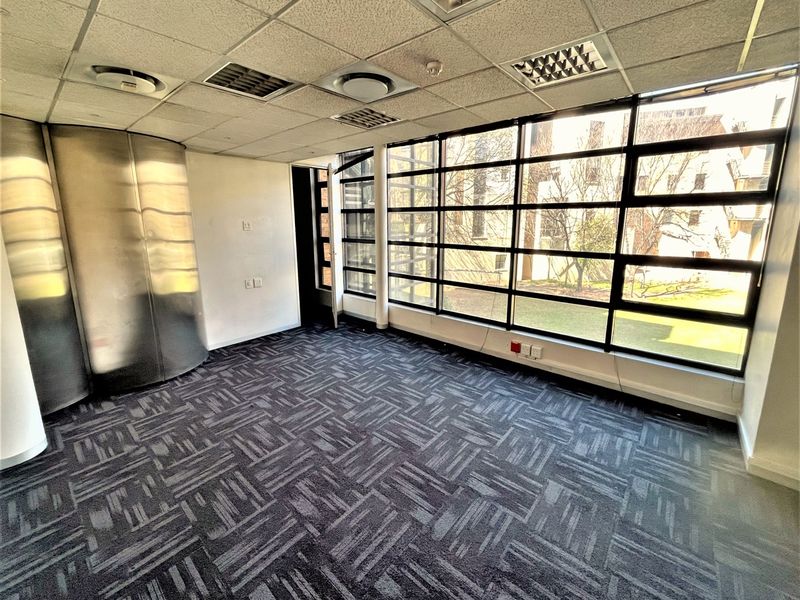 A bright, empty office space featuring carpet tiles, a suspended ceiling with recessed lighting, and a large window wall providing natural light.
