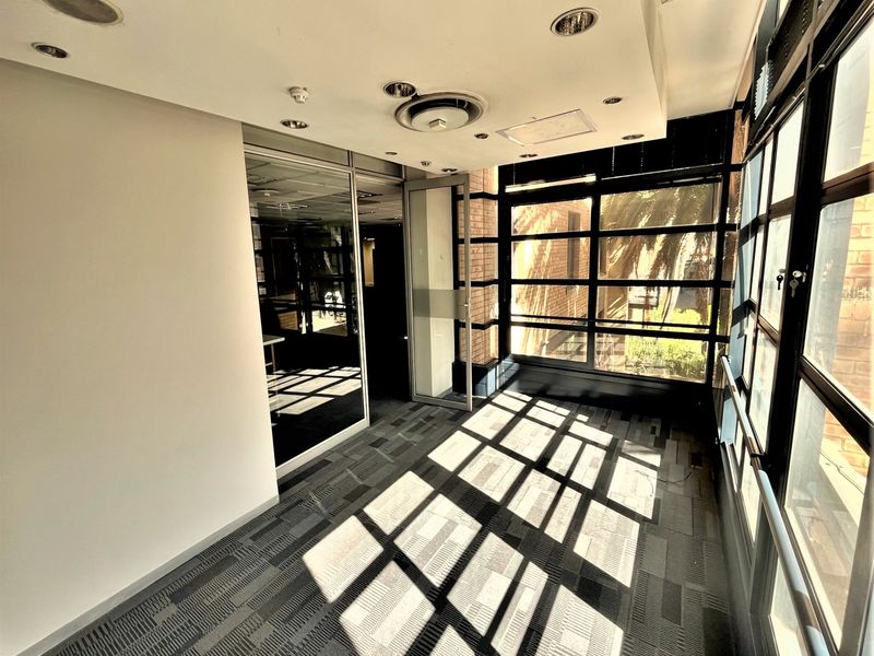 A bright, empty office space featuring large windows, glass partitioning, recessed ceiling lighting, and modern carpeted flooring.