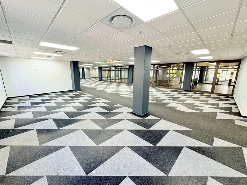 Spacious open-plan office area featuring modern patterned carpet tiles, suspended ceilings with recessed lighting, and glass-partitioned meeting rooms.