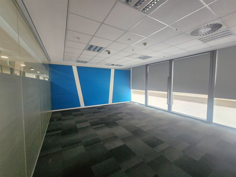 A bright, empty office space featuring carpet tiles, a suspended ceiling with recessed lighting, and large windows with roller blinds.