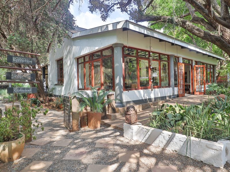 THE ICONIC" DIe Ou Pastorie" HITS THE MARKET - Photo 2