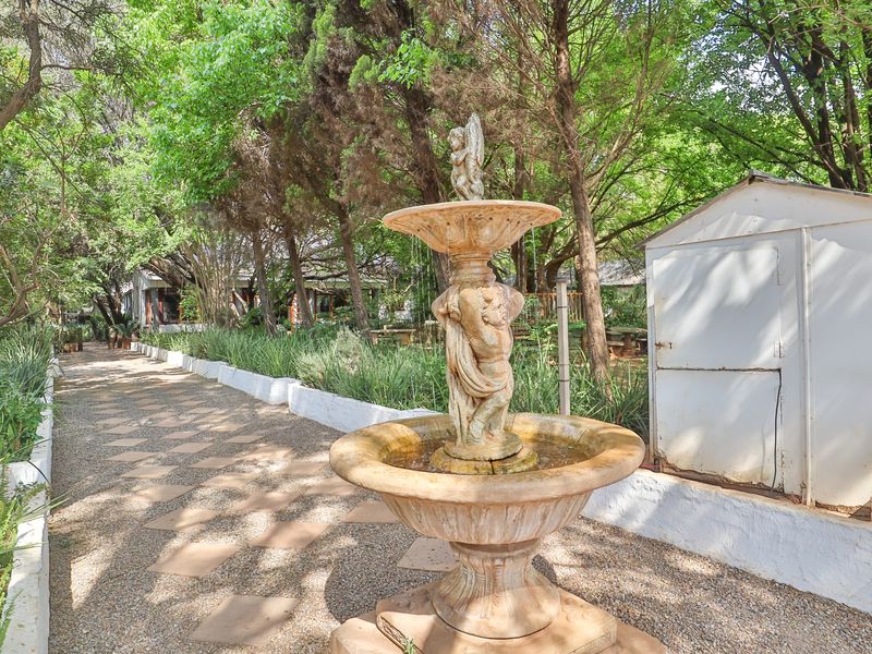 THE ICONIC" DIe Ou Pastorie" HITS THE MARKET - Photo 5