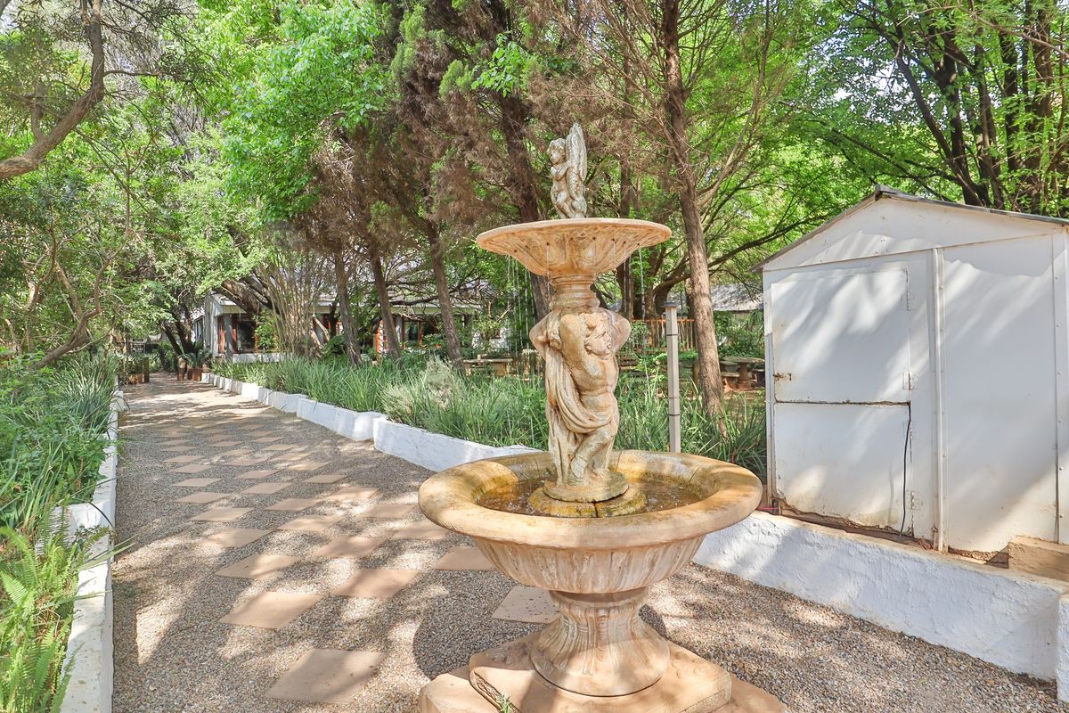 THE ICONIC" DIe Ou Pastorie" HITS THE MARKET - Photo 5