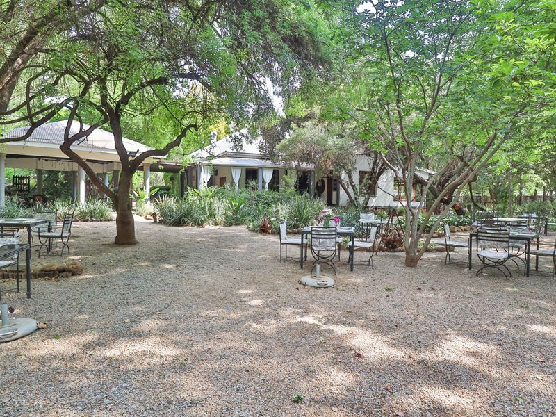 THE ICONIC" DIe Ou Pastorie" HITS THE MARKET - Photo 4