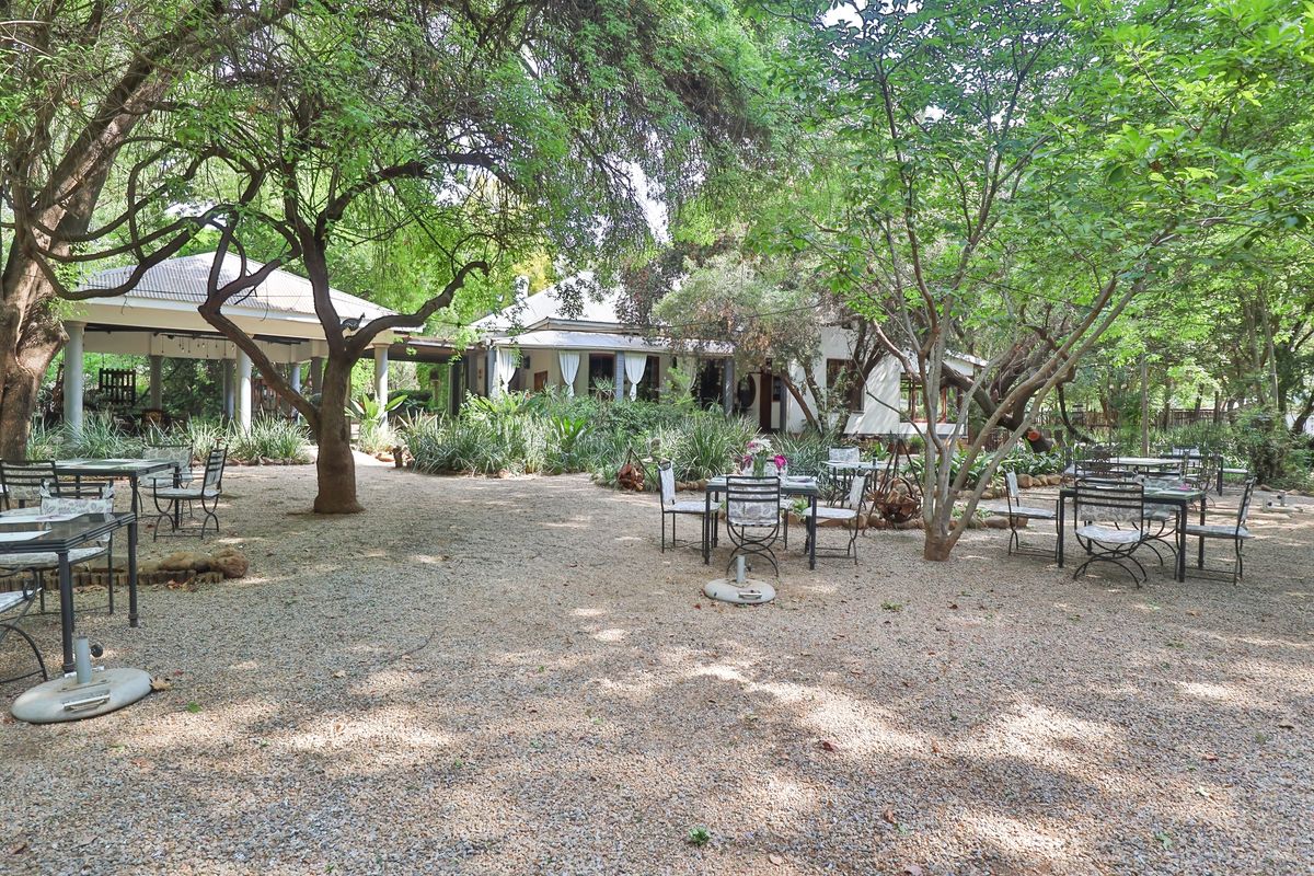 THE ICONIC" DIe Ou Pastorie" HITS THE MARKET - Photo 4