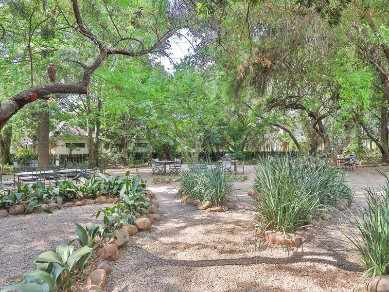 THE ICONIC" DIe Ou Pastorie" HITS THE MARKET - Photo 3