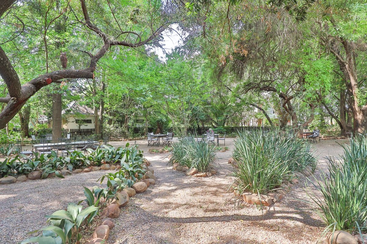 THE ICONIC" DIe Ou Pastorie" HITS THE MARKET - Photo 3