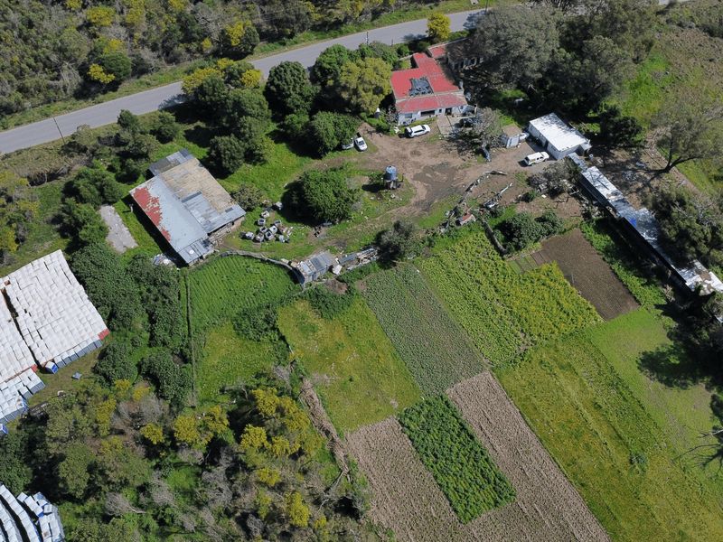 Aerial view of a farm property featuring a main farmhouse, multiple outbuildings, and extensive cultivated agricultural land with direct road access.