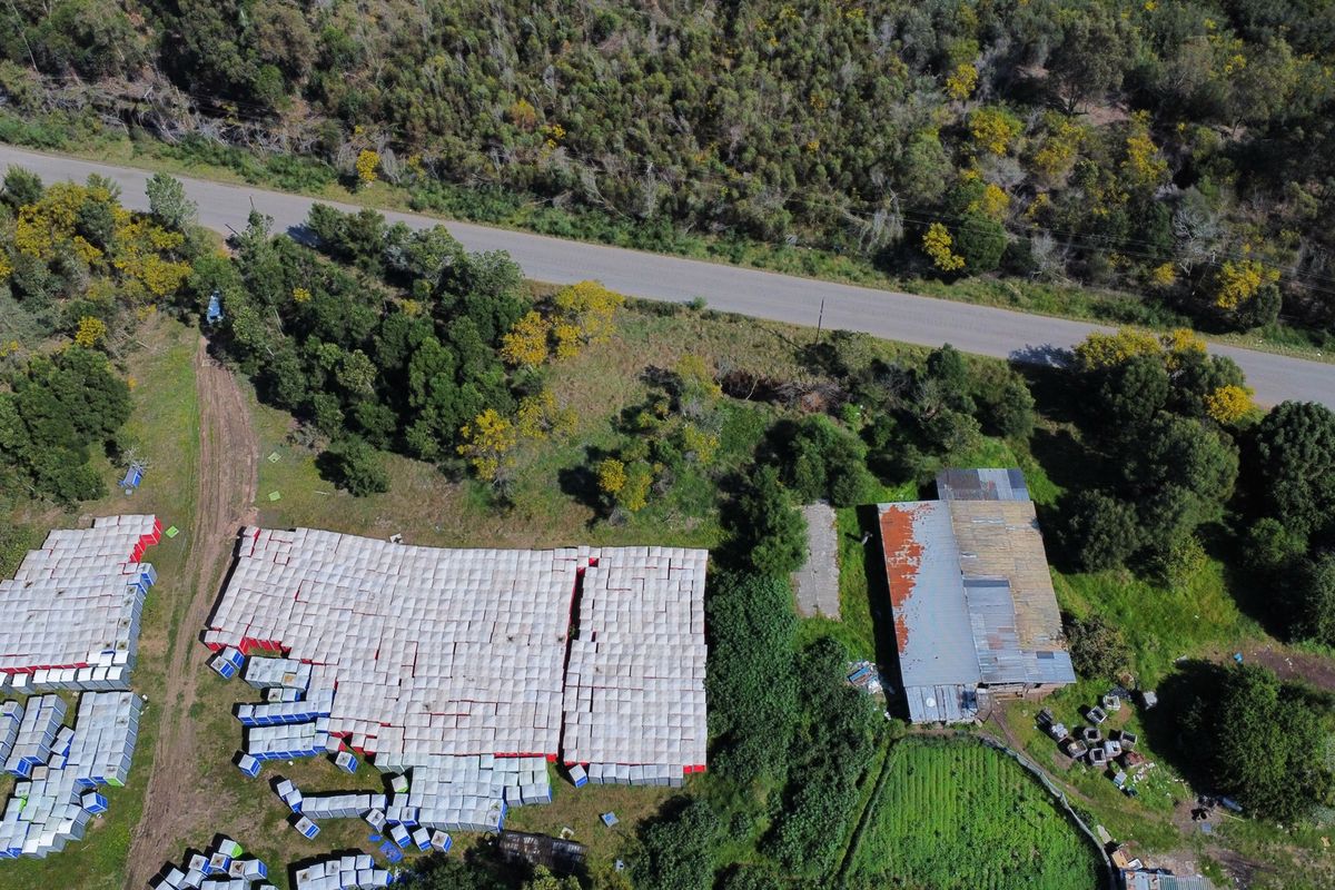 Aerial view of the farm property showing the main structure with a corrugated metal roof, adjacent access road, and surrounding agricultural land.