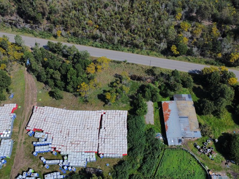 Aerial view of the farm property showing the main structure with a corrugated metal roof, adjacent access road, and surrounding agricultural land.