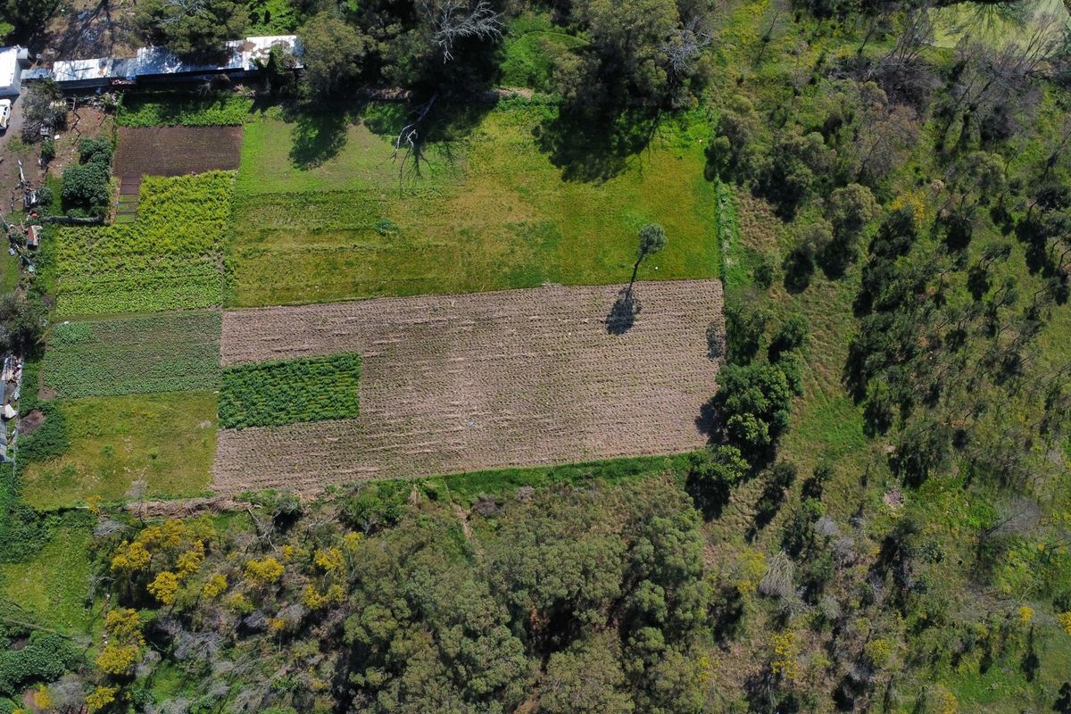 Aerial view of a farm property featuring cultivated agricultural land, surrounding trees, and small outbuildings on the perimeter.