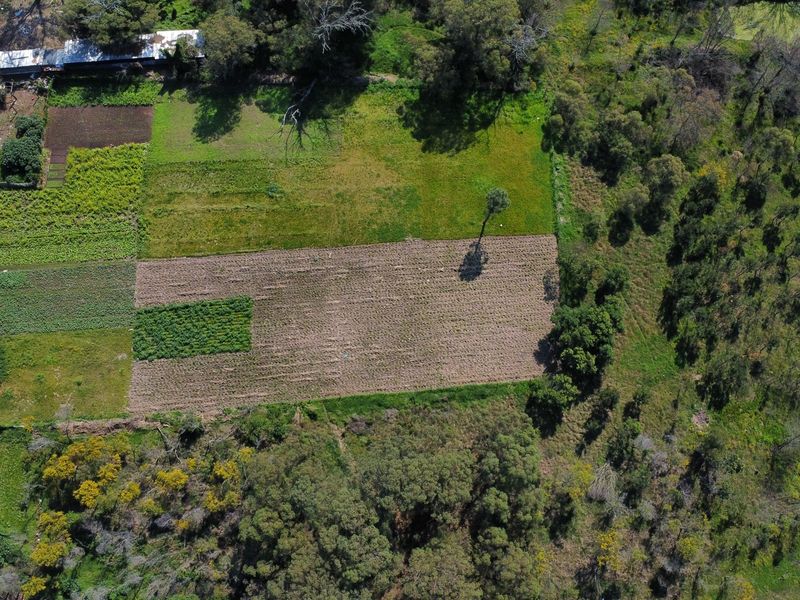 Aerial view of a farm property featuring cultivated agricultural land, surrounding trees, and small outbuildings on the perimeter.