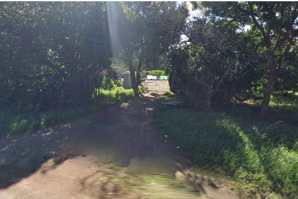 A view of an unpaved access road leading into the property, surrounded by mature trees and natural vegetation.