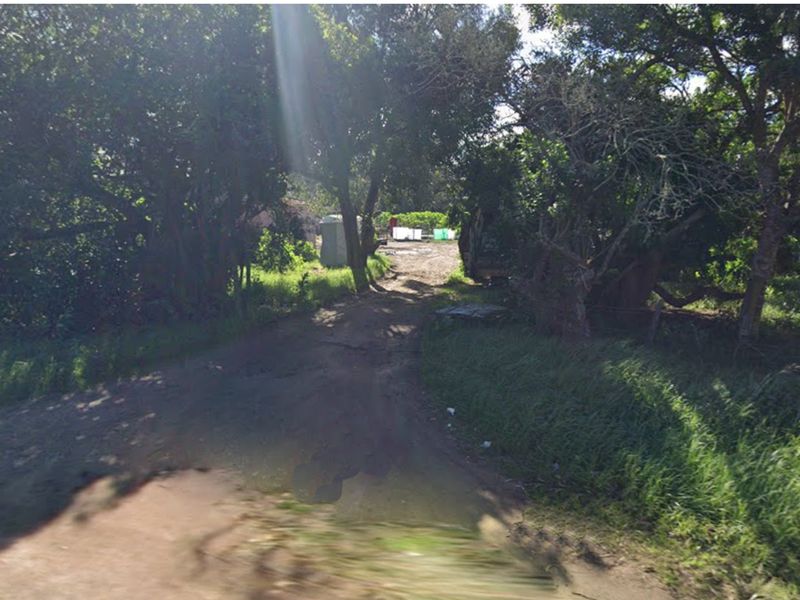 A view of an unpaved access road leading into the property, surrounded by mature trees and natural vegetation.