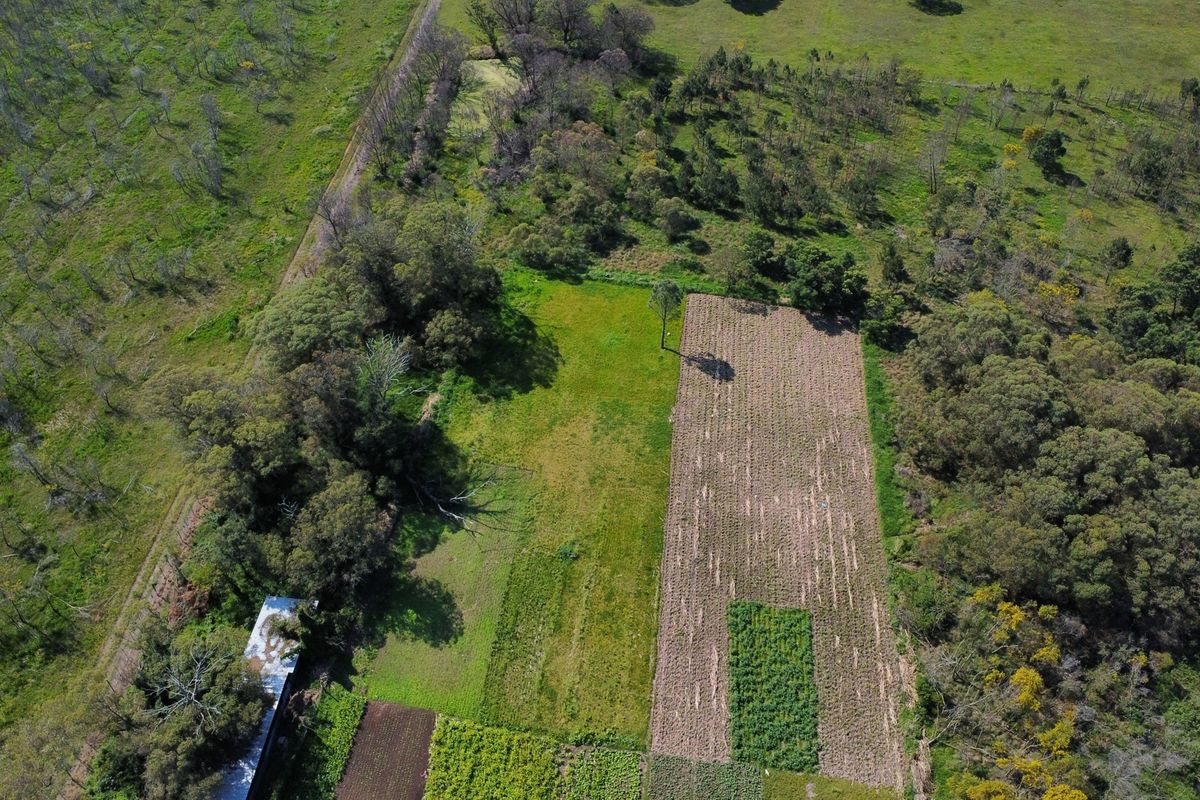An aerial view of the farm property showcasing cultivated agricultural land, open pasture areas, and established tree lines.