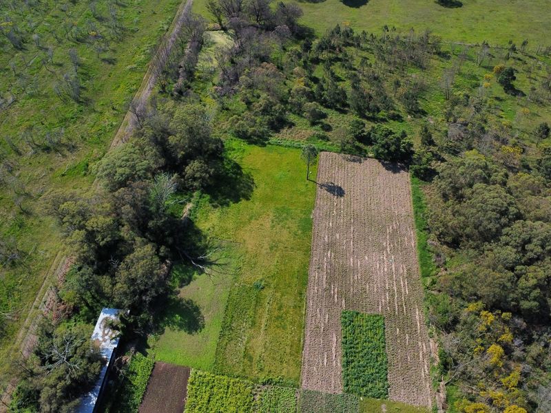 An aerial view of the farm property showcasing cultivated agricultural land, open pasture areas, and established tree lines.