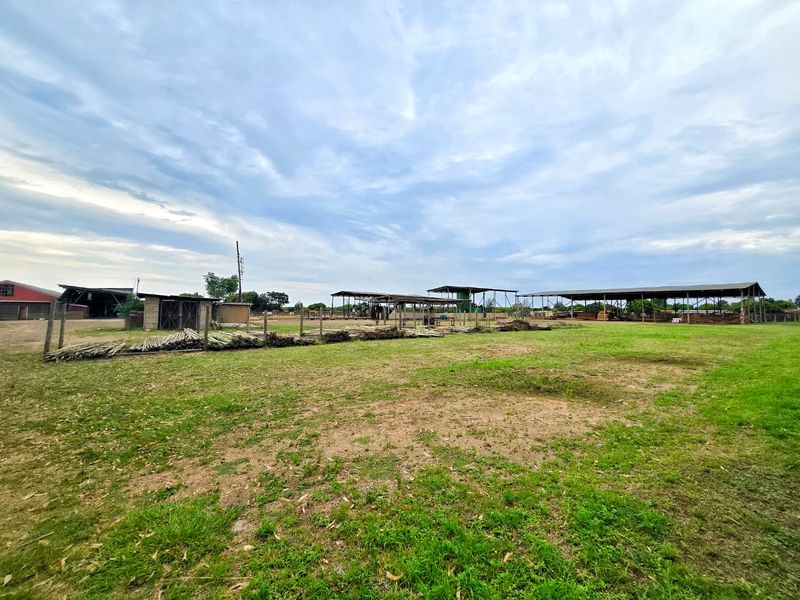 Well-priced, Accessible & Versatile! - Photo 10