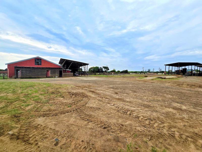 Well-priced, Accessible & Versatile! - Photo 2