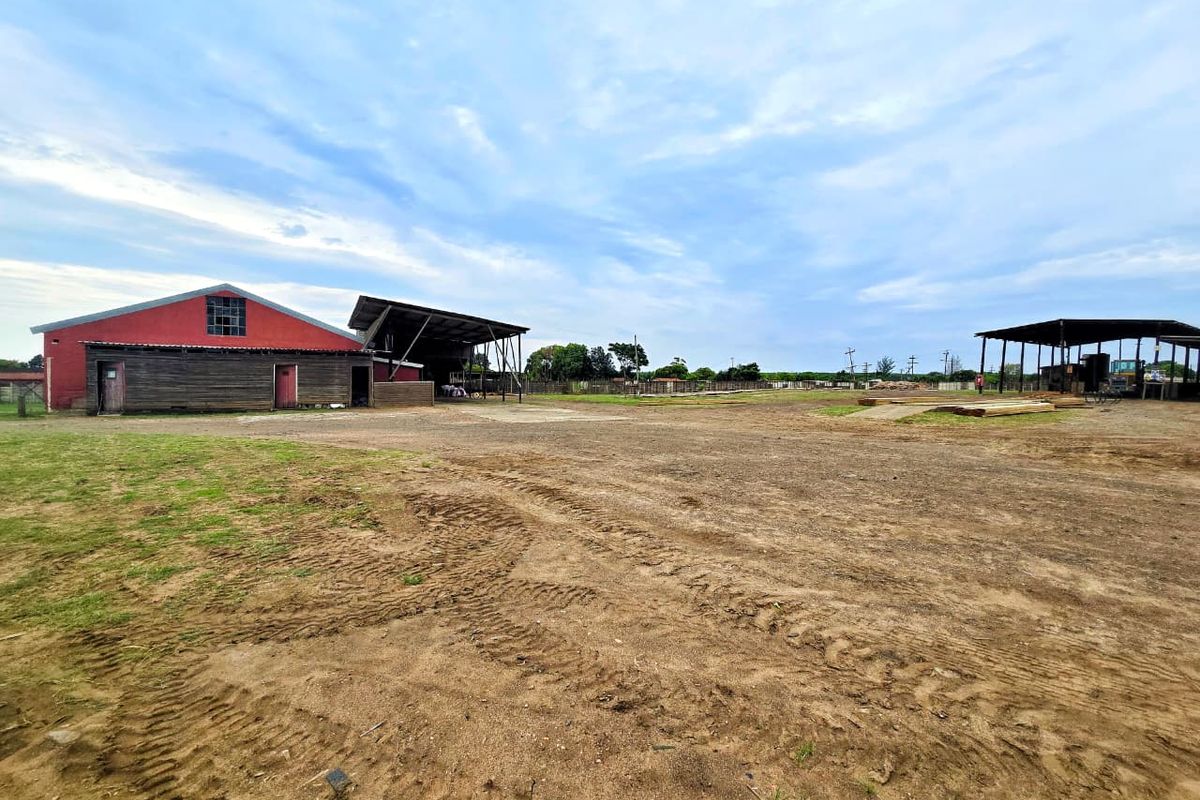 Well-priced, Accessible & Versatile! - Photo 2