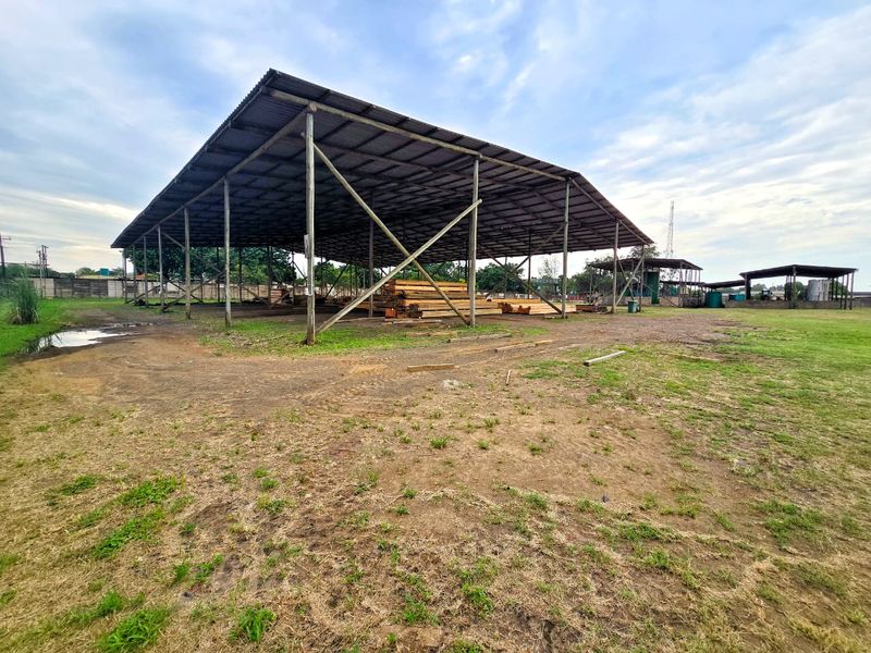 Well-priced, Accessible & Versatile! - Photo 3