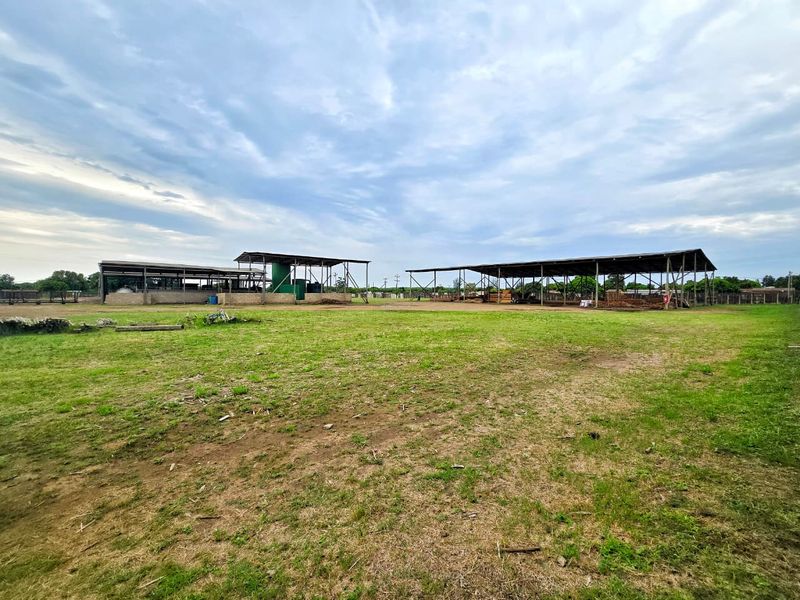 Well-priced, Accessible & Versatile! - Photo 5