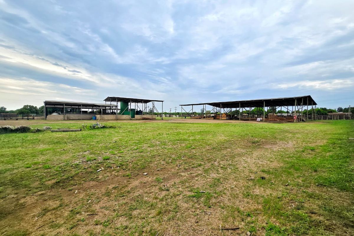 Well-priced, Accessible & Versatile! - Photo 5