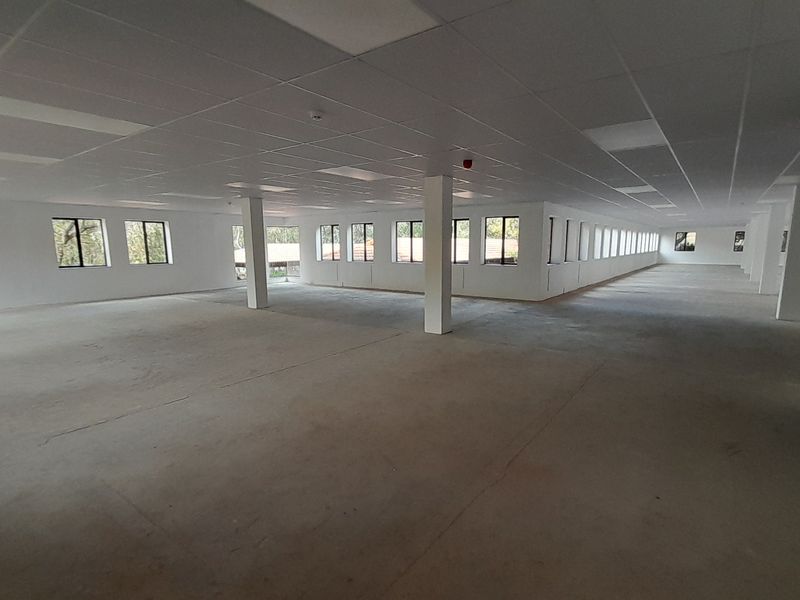 Ground Floor Presence Clean Modern 778m Office with Easy Access - Photo 10