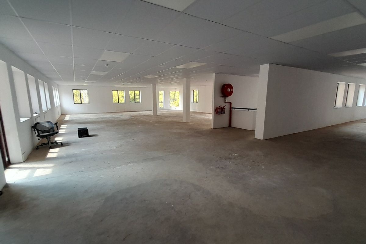 Ground Floor Presence Clean Modern 778m Office with Easy Access - Photo 4