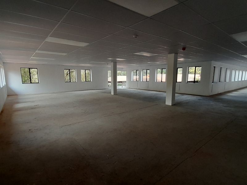 Ground Floor Presence Clean Modern 778m Office with Easy Access - Photo 9