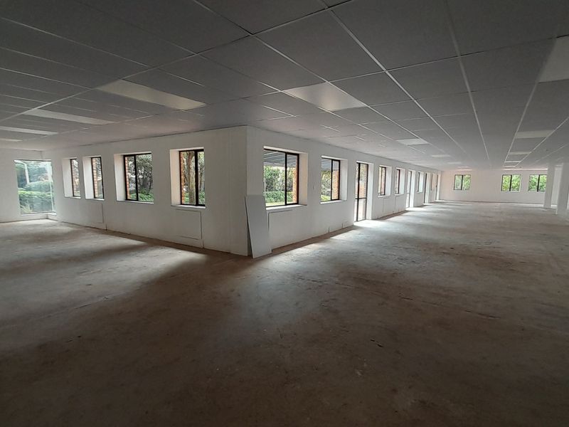 Space to Shape Your Brand 791m Ground Floor White Box Opportunity - Photo 8