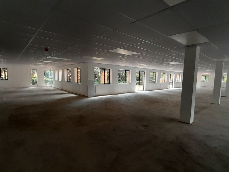 Space to Shape Your Brand 791m Ground Floor White Box Opportunity - Photo 6
