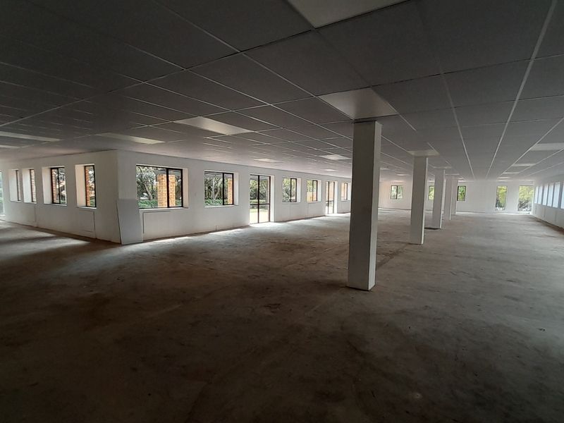 Space to Shape Your Brand 791m Ground Floor White Box Opportunity - Photo 5