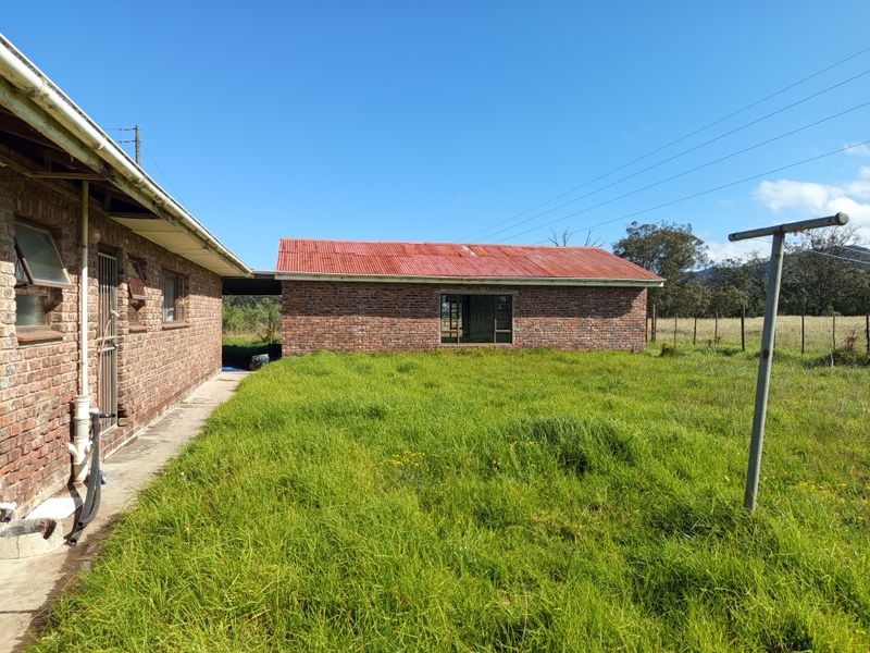 Rear view of a face brick farm building with a corrugated metal roof, featuring a concrete walkway and surrounding overgrown garden area.