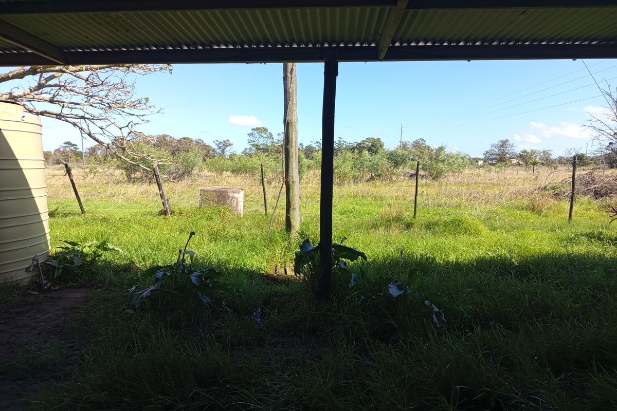 A covered outdoor area featuring a corrugated iron roof and water tank, overlooking an expansive, overgrown rural landscape.