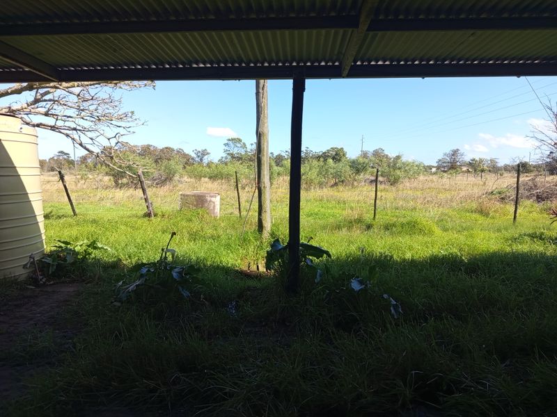A covered outdoor area featuring a corrugated iron roof and water tank, overlooking an expansive, overgrown rural landscape.