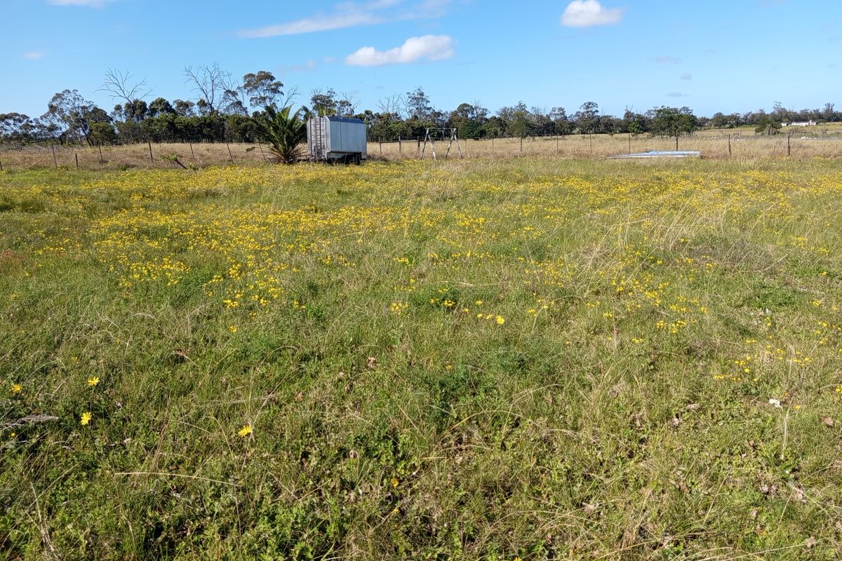 A wide, open grassy field on the farm property, featuring natural vegetation and perimeter wire fencing under a clear blue sky.
