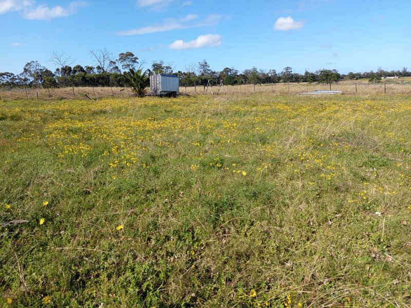 A wide, open grassy field on the farm property, featuring natural vegetation and perimeter wire fencing under a clear blue sky.