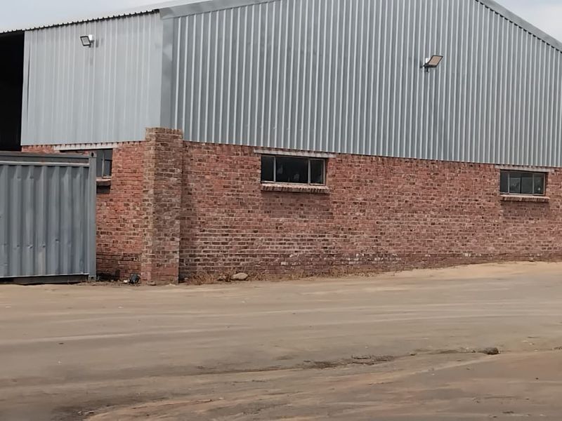 Discover your dream smallholding in serene Ermelo Rural—embrace nature and endless possibilities! - Photo 10