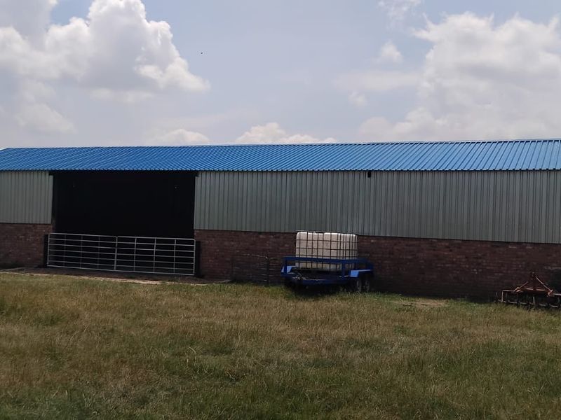 Discover your dream smallholding in serene Ermelo Rural—embrace nature and endless possibilities! - Photo 9