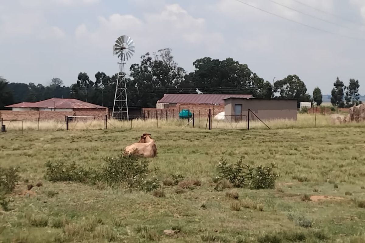 Discover your dream smallholding in serene Ermelo Rural—embrace nature and endless possibilities! - Photo 4