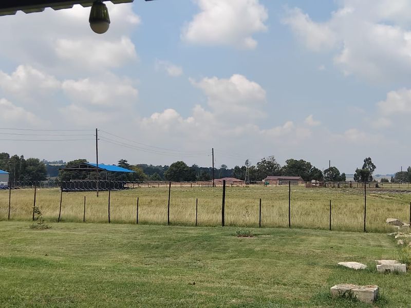 Discover your dream smallholding in serene Ermelo Rural—embrace nature and endless possibilities! - Photo 2