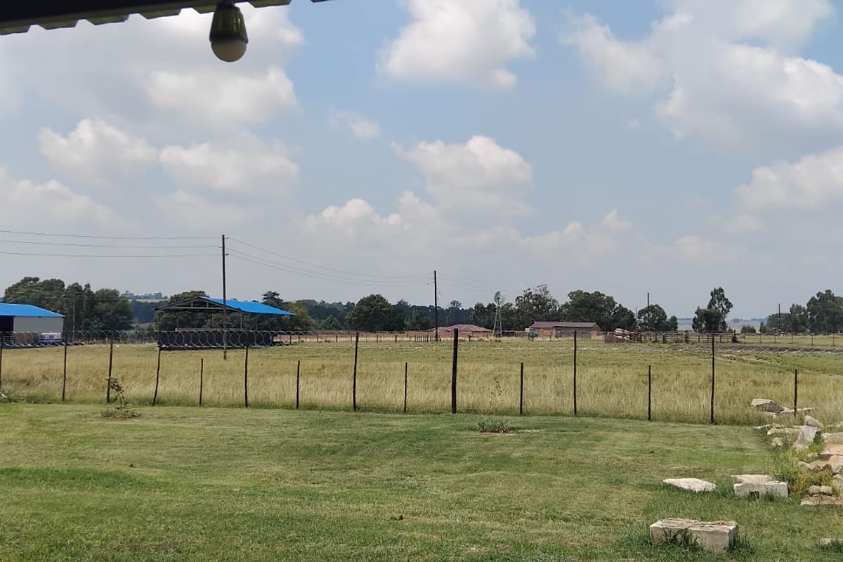 Discover your dream smallholding in serene Ermelo Rural—embrace nature and endless possibilities! - Photo 2