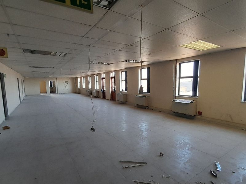 Height Access and Efficiency 1,560m Industrial Space Ready for Action - Photo 7