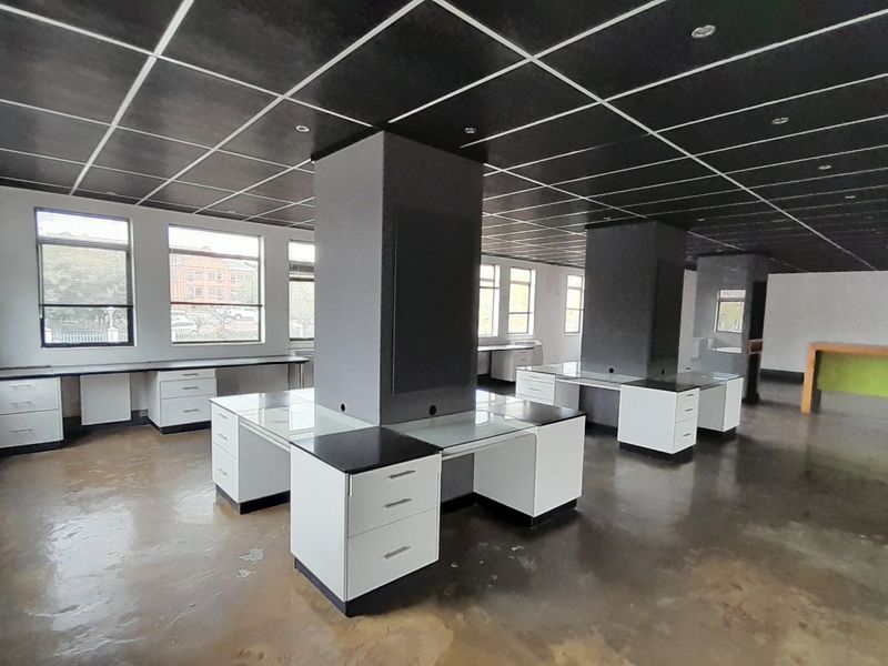 Clean Lines Natural Light and a First Floor 214m Office Edge - Photo 9