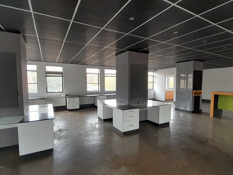 Clean Lines Natural Light and a First Floor 214m Office Edge - Photo 10