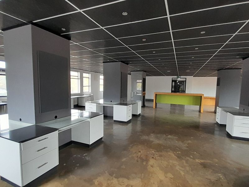 Clean Lines Natural Light and a First Floor 214m Office Edge - Photo 8