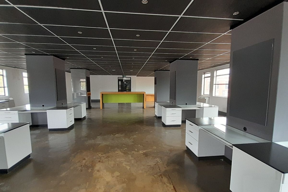 Clean Lines Natural Light and a First Floor 214m Office Edge - Photo 3