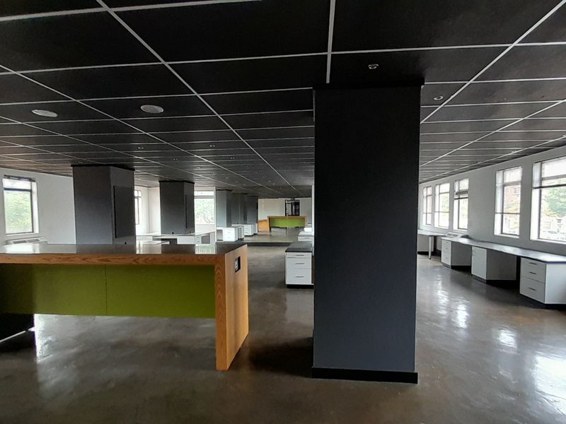 Clean Lines Natural Light and a First Floor 214m Office Edge - Photo 5